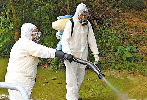 食環署：10月份白紋伊蚊誘蚊器指數為3.9% 須做好防蚊及滅蚊工作