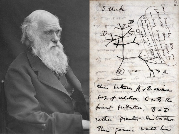 達爾文「進化論」筆記簿或被盜