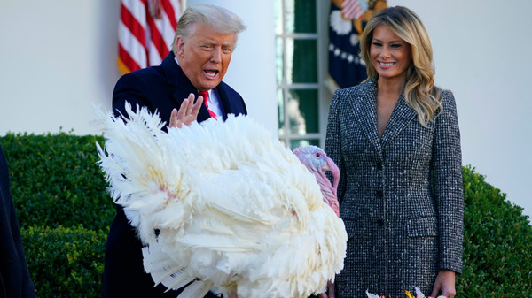 特朗普現身讃道指新高 按傳統特赦火雞