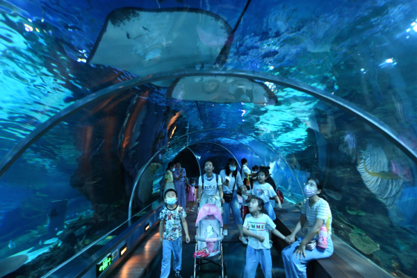 有確診者曾入園 海洋公園周四周五休園清潔消毒