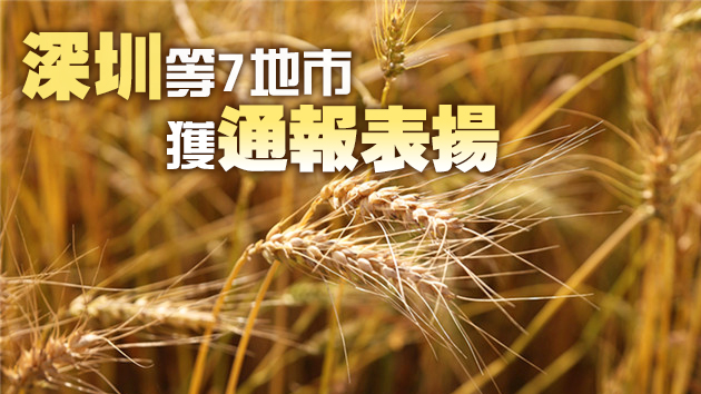 廣東通報2019年度糧食安全責任考核結果