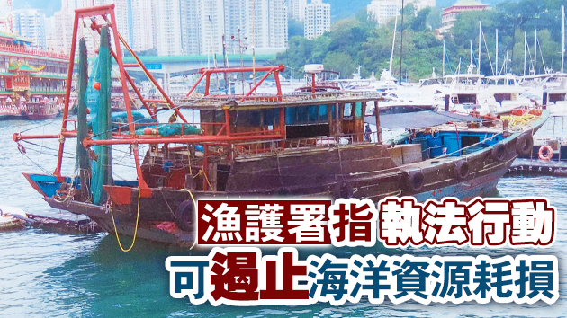 水警及漁護署聯合反非法捕魚行動拘捕48人