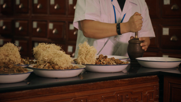 廣東省中藥協會正式成立