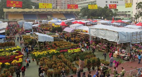 食環署宣布更改公開競投萬宜遊樂場及寶康公園年宵市場攤位場地-香港商報