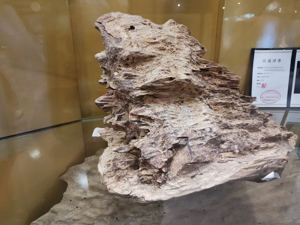 第十一屆香博會12月18日在莞寮步啟幕