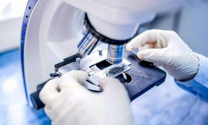 漁護署新界南動物管理中心周一起將用作動物檢疫設施