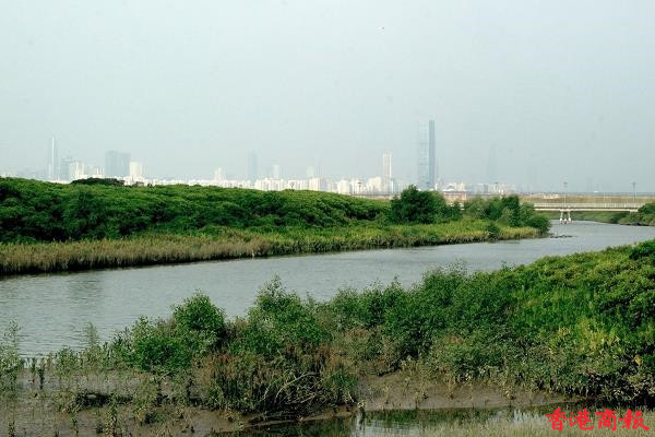 圖集丨香港濕地公園：領略世界級景點的多樣生態