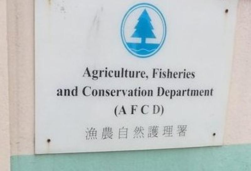 漁護署一女職員確診新型肺炎