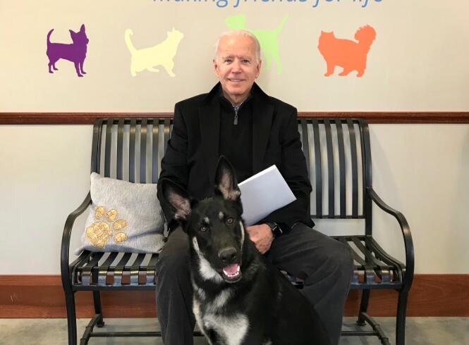 拜登與狗玩耍滑倒受傷 醫生：足部輕微骨折