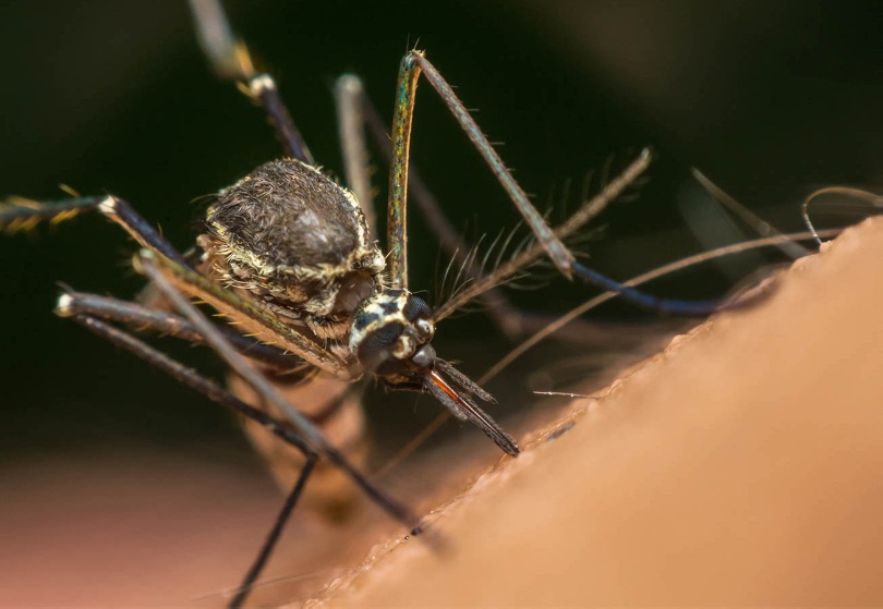 每兩分鐘就有一名兒童死於瘧疾 世衛籲全球加強抗擊