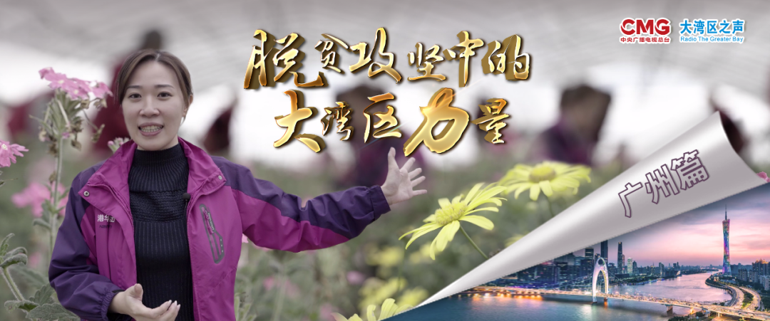 脫貧攻堅丨香港90後進山造了個「花花世界」 芳香滿烏蒙