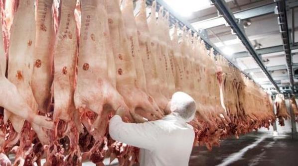 172人确诊！德國最大肉類加工廠再暴聚集性感染