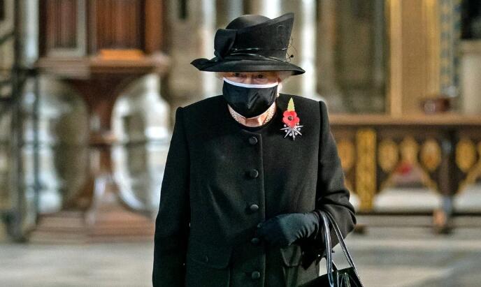 外媒：英國女王將在數周內接種新冠疫苗