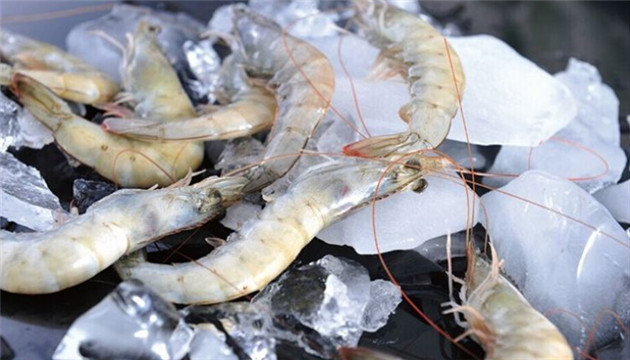 福建一批厄瓜多爾凍蝦檢測為陽性 涉事食品未流向市場