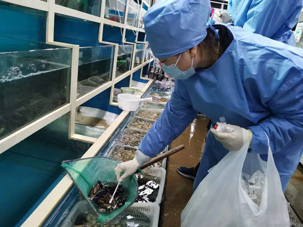 成都：已完成環境及食品樣採集468份 其中陽性11份