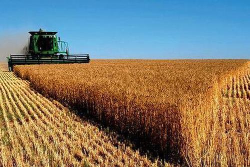 國家統計局：2020年全國糧食總產量為13390億斤 比上年增長0.9%