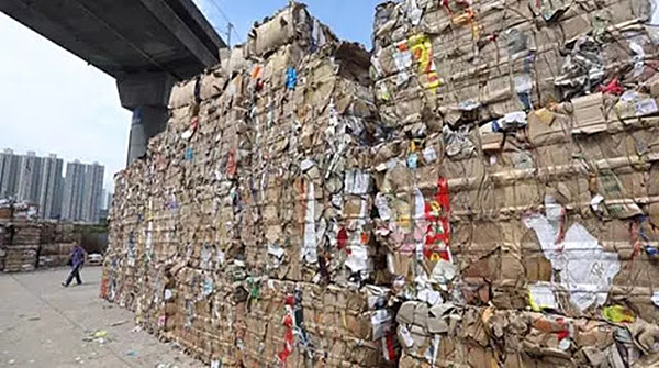 明年起內地將全面禁止廢紙出口 鄭泳舜：期望當局加快设立紙漿廠进度