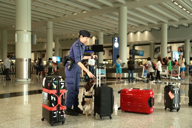 一隻警犬對新冠病毒測試呈陽性反應 其領犬員日前確診