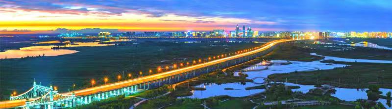 哈爾濱新區五年蝶變：潮頭逐浪新時代 東北振興增長極