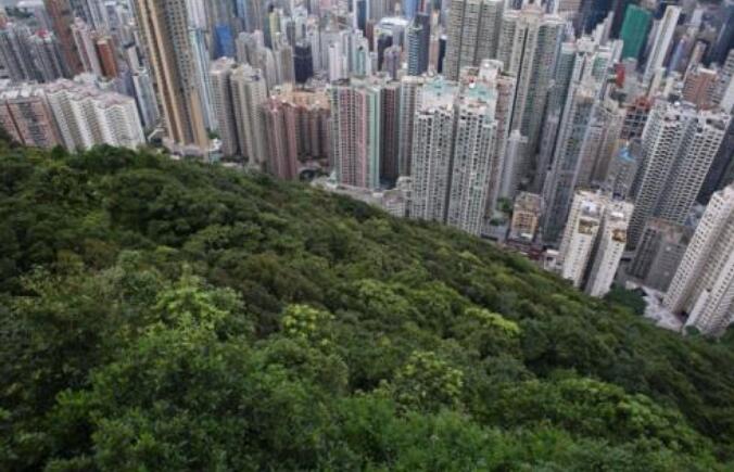 長策報告：政府已覓得330公頃土地建31萬個公屋單位