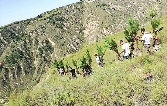 自然資源部：「十三五」以來全國累計完成造林5.29億畝 義務植樹116億株