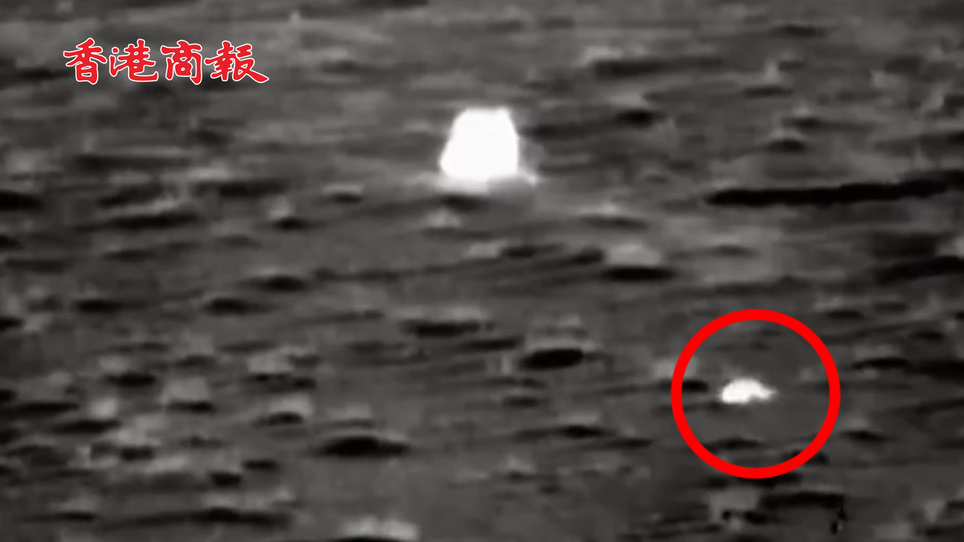 有片丨「嫦五」回家 網友：第一個找到它的居然是隻小動物