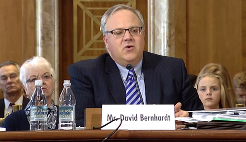 美內政部長新冠檢測呈陽性