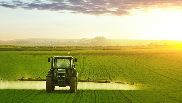 農業農村部：2021年中國將新建高標準農田1億畝