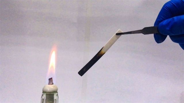 中國科學家研製出無需粘合劑的高性能仿生木材