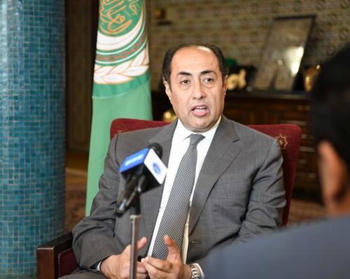 阿盟副秘書長表示願帮助黎巴嫩擺脫危機 