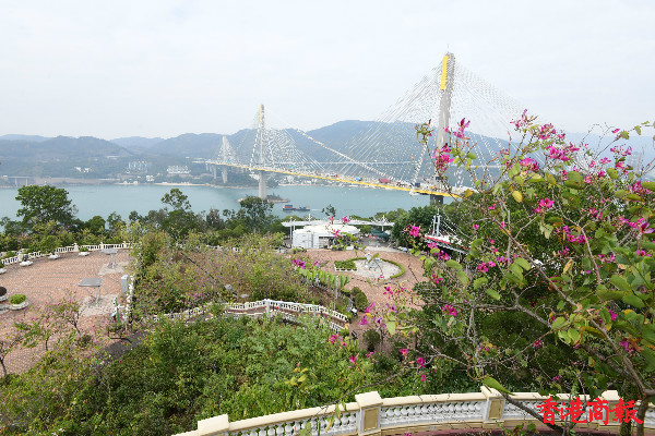 圖集｜在「青嶼幹線觀景台」遠觀青馬大橋壯麗景色