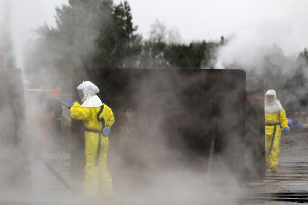 丹麥明年擬挖出並焚毀400萬隻貂屍體 