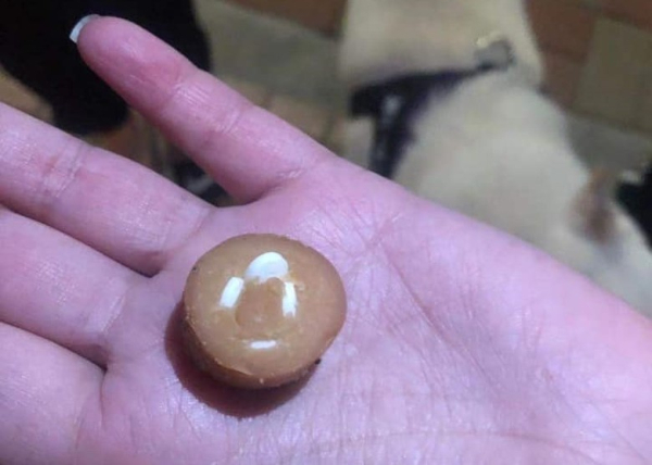 青衣長安邨疑現毒餌 警派出刑事調查專隊調查