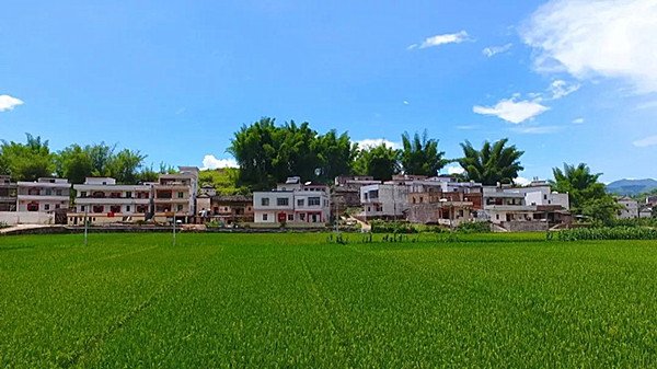 農村農業部：農場環境整治三年行動方案目標任務已基本完成