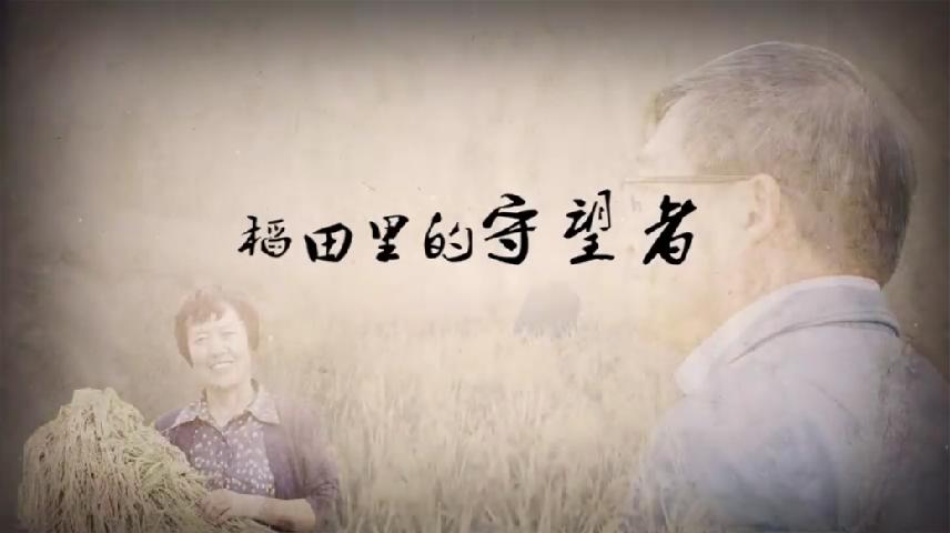 稻藝-《農科院-周廣春》