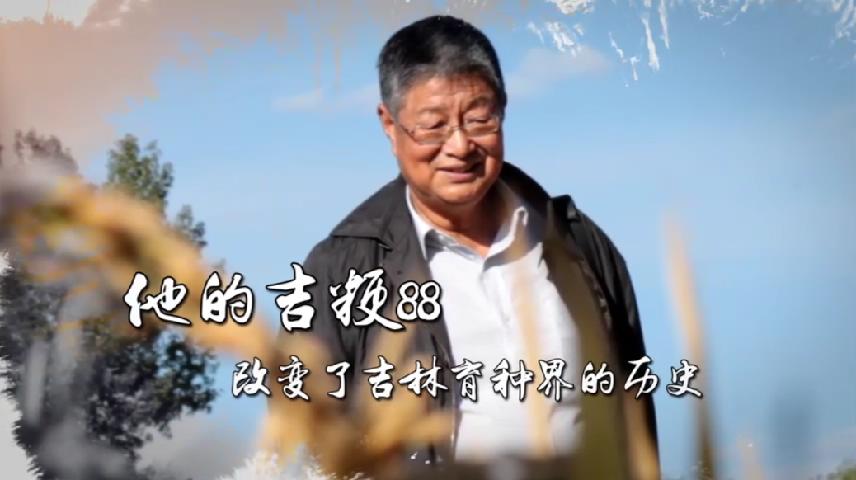 稻種-育種專家《張三元》