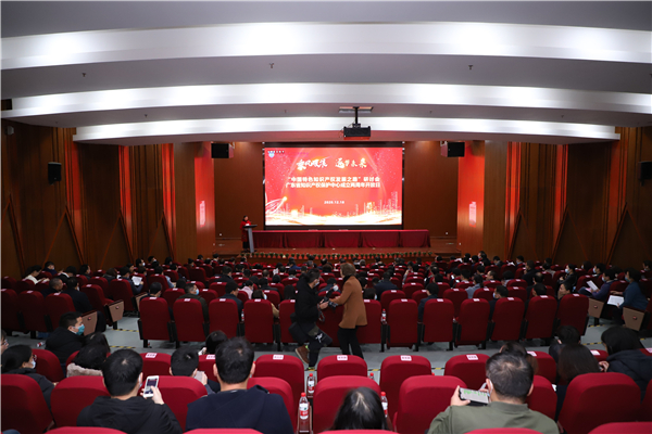 廣東將建海外知識產權保護全球服務網絡