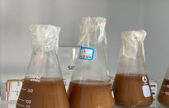 青海省藏藥研究重點實驗室建設取得新進展