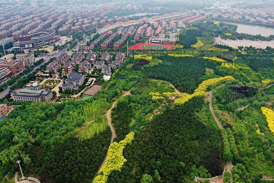 河北唐山市古冶區發生2.9級地震 震源深度14千米