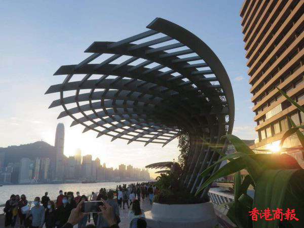 圖集 | 拆禮物日尖東海濱長廊人頭湧湧 無視政府保持社交距離的呼籲