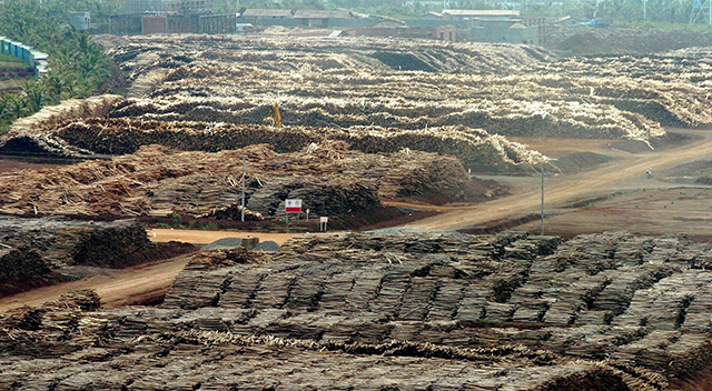 【市場慧眼】紙品行業供需改善 玖紙升勢再啟動