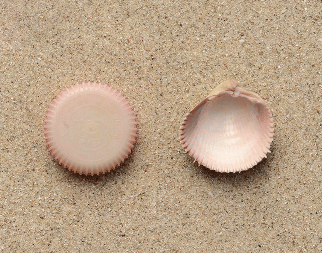 【展覽】睇展覽 了解海洋污染