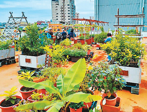 台北：都市建築長出「綠屋頂」