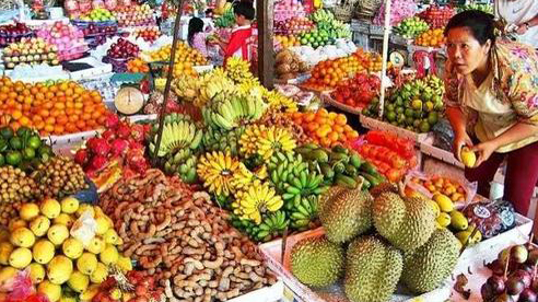 柬埔寨農產品年產值突破389億