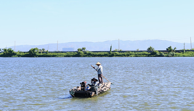 廣東生態環境廳：71個國考斷面水質穩定達標