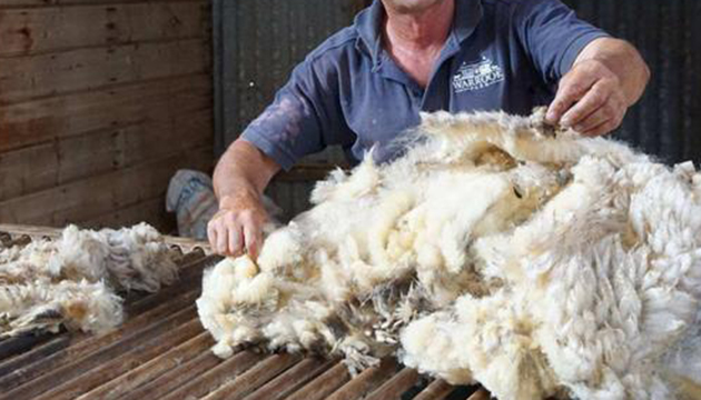 商務部、海關總署：2021年澳大利亞羊毛進口國別關稅配額總量為38288噸