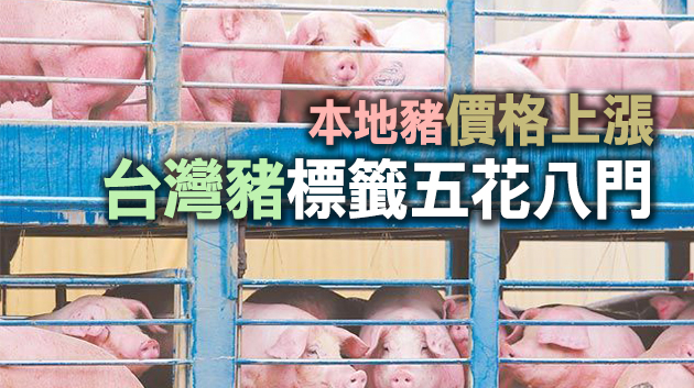 「萊豬」來了！台島怎一個亂字了得