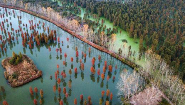 國家發改委：長江流域水質優良斷面比例提升至96.3%