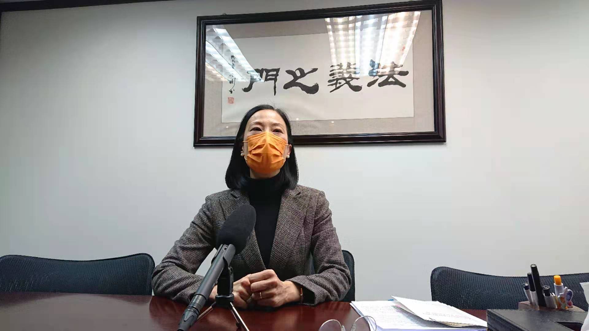 陳曼琪：警方拘捕行動體現香港國安法的震懾力