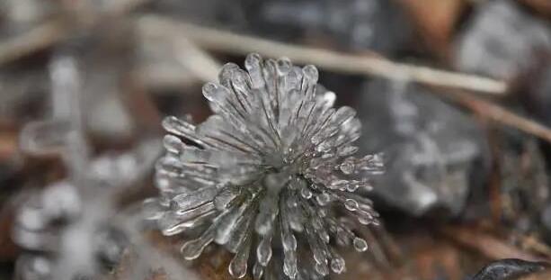 有片 | 廣東，真的下雪了！
